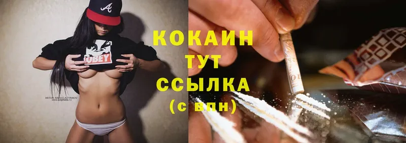 Cocaine Fish Scale  мега ссылки  Емва 